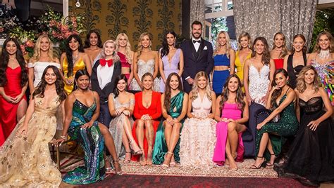 bachelor australia odds